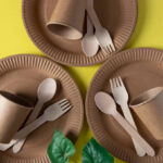 Wheat Straw vs Bamboo Plates